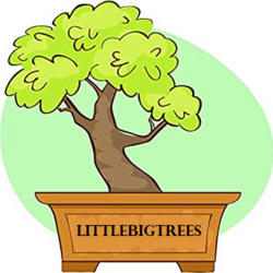 Bigtrees logo1