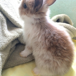 Tumblr n8sjpeb3rt1tqf88no1 500