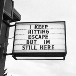 236352 i keep hitting escape but i m still here