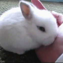 Tumblr inline n7r6xtxjq41qjuzsz