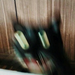 Tumblr p2lc6wjo8z1wpgxpdo7 400