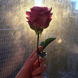 18d900b6 2231 46c4 adc0 a7dddc13f472