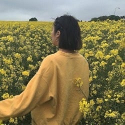 F5d3a874 c2d4 47e5 ae7c b7b0f00a18a5