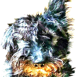 Maggy1