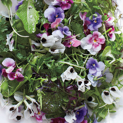 20768c3f ab83 4529 b00b 6da1e2b2f641