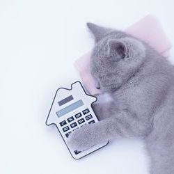 B5fbbb40 6edd 49f0 9af4 028c44f9b817