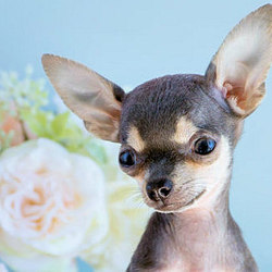 Skillshare profile pic