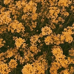 C7c8627a 503d 4dc5 8742 7d6cdf15300f