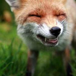 462657428 8858888290841975 9022452854568353807 n