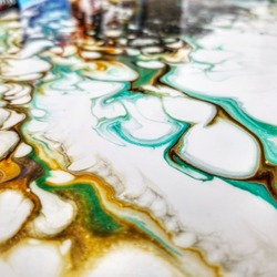 37923954 10211441690988311 1013362271809699840 n (1)