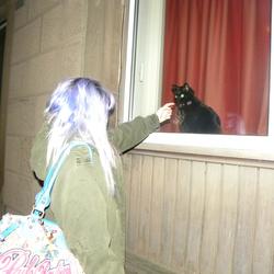 341144 2474295490851 2024353691 o