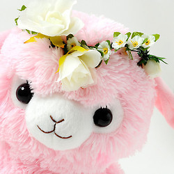 Tumblr n8bgjjevkj1r5d83bo9 250