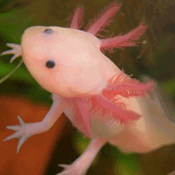 Tumblr nkgfdruhow1sa8k5jo4 400