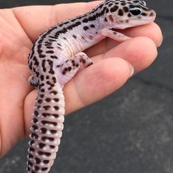 231257f8 6431 4fab a663 bcc5d4b7194b