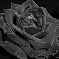 267218 10150251996001612 5736739 n