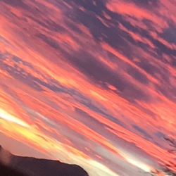 77dc8a32 c853 4133 8a3e 5b5a0dd7c203