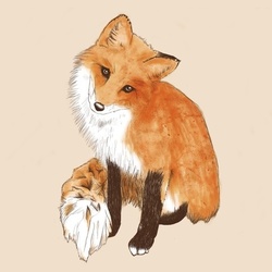 Fox