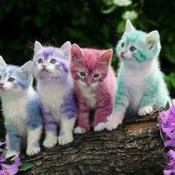 397153 142085892607791 196375076 n large