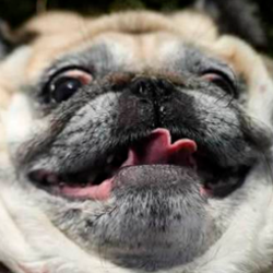 Tumblr inline nkt484bvwr1sbsk8k