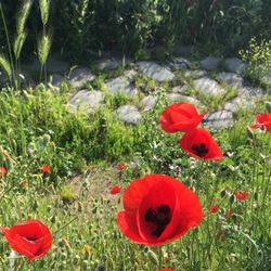 215b5d24 aa80 4f56 9190 34aeb9b78b4e