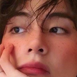 0ca9233f4c297c07eeaad987dd39d87a