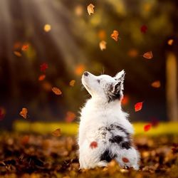 Dd7f00fb3814d2021b922b2c6a60899d