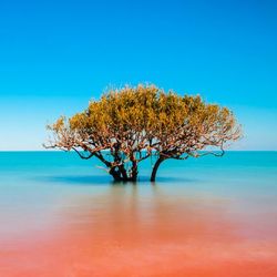 F41f663ffda0b23bddc6a53aec03a58f