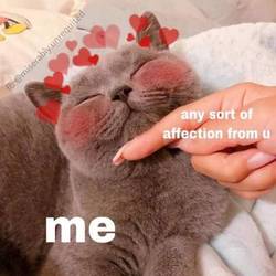 Tumblr pjuc49clmq1t9v0fh 400