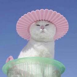 1eb20969 5cbf 4a84 9b0a a6402e400be5