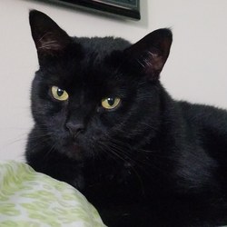 Img 20190816 203823 464