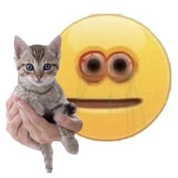 1cc55a59 3cfb 4e2c 8513 d579ffcbe39a