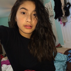 Lesly 355