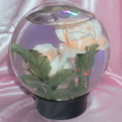 Fish bowl