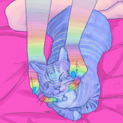 Tumblr nu8g4cbx831ue84moo1 500