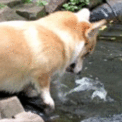 Tumblr moif72qf751stgzx6o1 r1 250