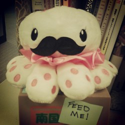 6a2f1e34f30611e1bf7c22000a1e9ddc 7