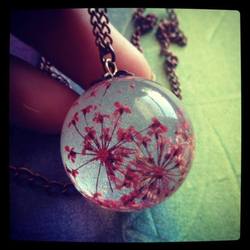 11218852 1688952171336585 9054461781300452322 n