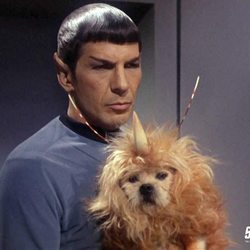 079ddc25 963e 46b8 bd7d aec38001d5b1