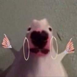 Received 1612549065576601