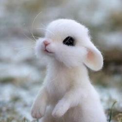 Qq%e6%88%aa%e5%9b%be20210201103012