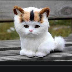 Qq%e6%88%aa%e5%9b%be20210201102927