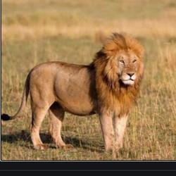 Qq%e6%88%aa%e5%9b%be20210201102916