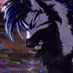 Patron rewards july23.rottie.client copy