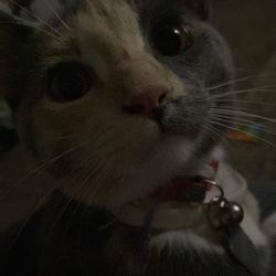 Df91375b d70e 4a75 bb41 e0cbc32f9e37