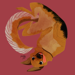 Tumblr n2bt2qhweq1qlc734o1 500