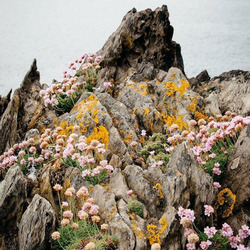 79a2b6e9 1adf 44ff bce8 ec5ae30abf13