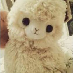 F43159d7ae36498ccd4e5b2fc025a5af