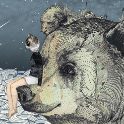 Bear rock detail 2 640