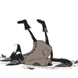 Tumblr nrthz2j6pz1r8buexo1 500