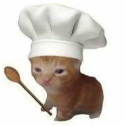 Chef cat